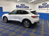 Certified 2022 Ford Escape SEL w/ Technology Package image 2