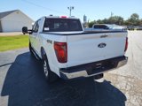 New 2024 Ford F150 XLT w/ Equipment Group 302A MID image 6