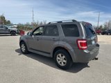 Used 2010 Ford Escape Limited image 4