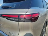 New 2025 INFINITI QX60 Luxe w/ Cargo Package image 5