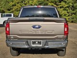 Used 2023 Ford F150 XLT image 5