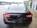 Used 2020 Honda Accord EX-L image 5