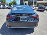 Certified 2024 Lexus ES 250 w/ Premium Package image 4