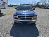 Used 2003 Dodge Dakota SLT image 2