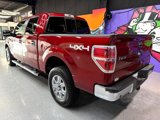 Used 2013 Ford F150 XLT w/ Luxury Equipment Group image 3