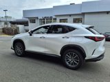 Used 2022 Lexus NX 350 AWD image 4
