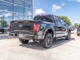 New 2024 Ford F150 STX w/ STX Black Appearance Package image 5