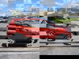 Used 2019 Ford Escape SE image 5