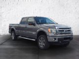 Used 2013 Ford F150 XLT w/ Luxury Equipment Group image 2