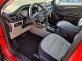 Used 2024 Ford Escape Active w/ Tech Pack #1 image 2