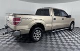 Used 2013 Ford F150 XLT w/ Luxury Equipment Group image 6