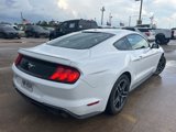 Used 2019 Ford Mustang Coupe w/ Equipment Group 101A image 3