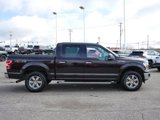 Certified 2019 Ford F150 XLT w/ Equipment Group 302A Luxury image 3