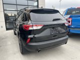 Used 2022 Ford Escape SEL w/ SEL Stealth AWD Package image 2