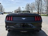Used 2020 Ford Mustang Premium image 4