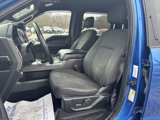 Used 2016 Ford F150 XLT w/ Equipment Group 302A Luxury image 4