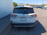 Used 2022 Ford Escape SE image 5