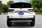 Certified 2022 Ford Escape SE image 4