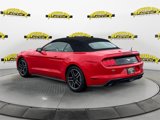Certified 2022 Ford Mustang Premium image 3