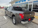 New 2024 Ford F150 XLT w/ Equipment Group 302A MID image 3