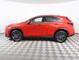 Used 2024 Lexus NX 250 FWD image 3