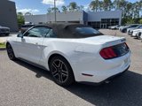 Used 2023 Ford Mustang Premium image 5