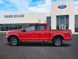 Used 2019 Ford F150 XLT w/ Equipment Group 302A Luxury image 5