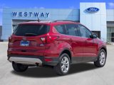 Used 2019 Ford Escape SEL image 4
