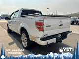 Used 2014 Ford F150 Limited image 5