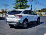 Used 2022 Ford Escape SEL image 4