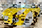 View Video