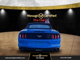 Used 2022 Ford Mustang Premium image 5