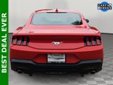 Used 2024 Ford Mustang Coupe image 4