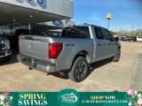 New 2025 Ford F150 STX image 2