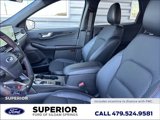 New 2025 Ford Escape ST-Line w/ Tech Pack #1 image 5