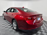 Used 2024 Chevrolet Malibu LT image 4