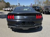 Used 2020 Ford Mustang Coupe image 3
