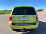Used 2011 Ford Escape XLT w/ 203A Rapid Spec Order Code image 4