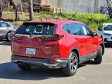 Certified 2021 Honda CR-V Special Edition image 5