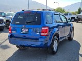 Used 2011 Ford Escape XLT w/ 202A Rapid Spec Order Code image 3