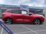 Used 2023 Ford Escape ST-Line image 2