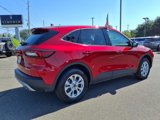 Used 2025 Ford Escape Active w/ Cold Weather Package image 6