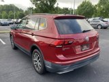 Used 2019 Volkswagen Tiguan SE w/ Panoramic Sunroof Package image 3