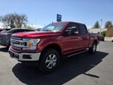 Used 2019 Ford F150 XLT w/ Equipment Group 302A Luxury image 3