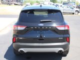 Used 2022 Ford Escape SE w/ Convenience Package image 6