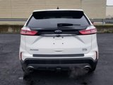Used 2020 Ford Edge SEL w/ Convenience Package image 6