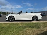 Used 2019 Audi A5 2.0T Premium Plus image 2