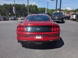 Used 2020 Ford Mustang Coupe w/ Equipment Group 101A image 5