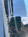 Used 2015 Kia Forte LX image 5