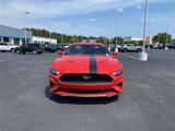 Used 2021 Ford Mustang Coupe image 3